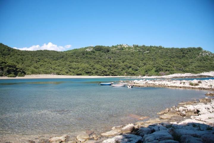 Photo 24