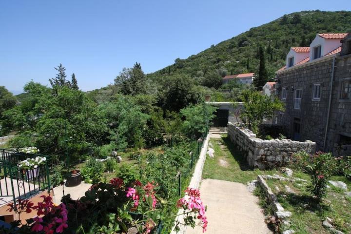 Baldo's Happy Garden- BRAND NEW view 3