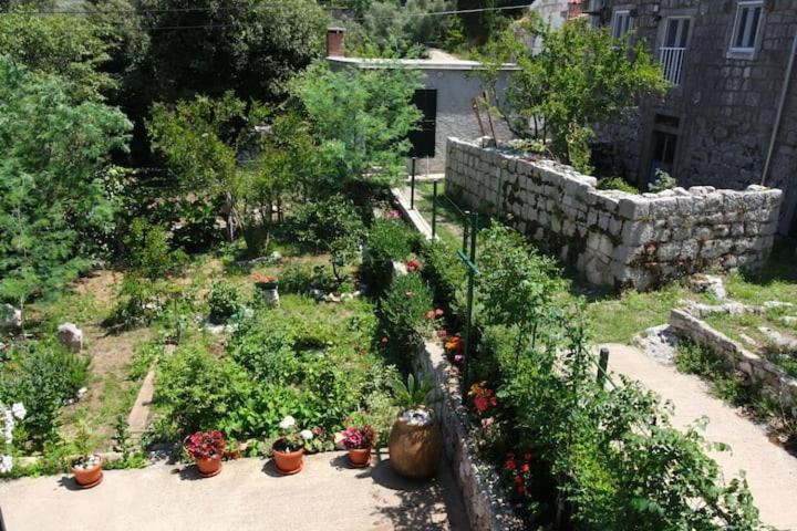 Baldo's Happy Garden- BRAND NEW view 2