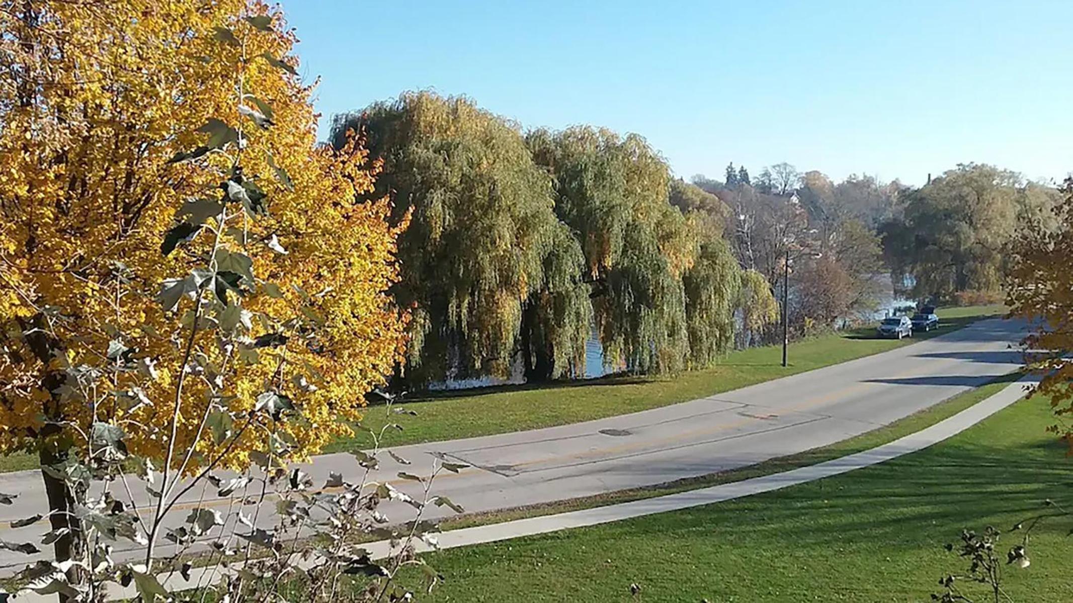 Ontario Ave - Kiwanis Park view 5