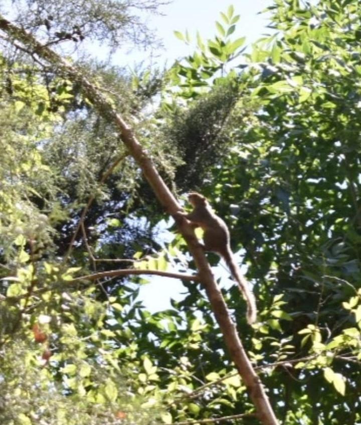 Quinta Pinar de Robles