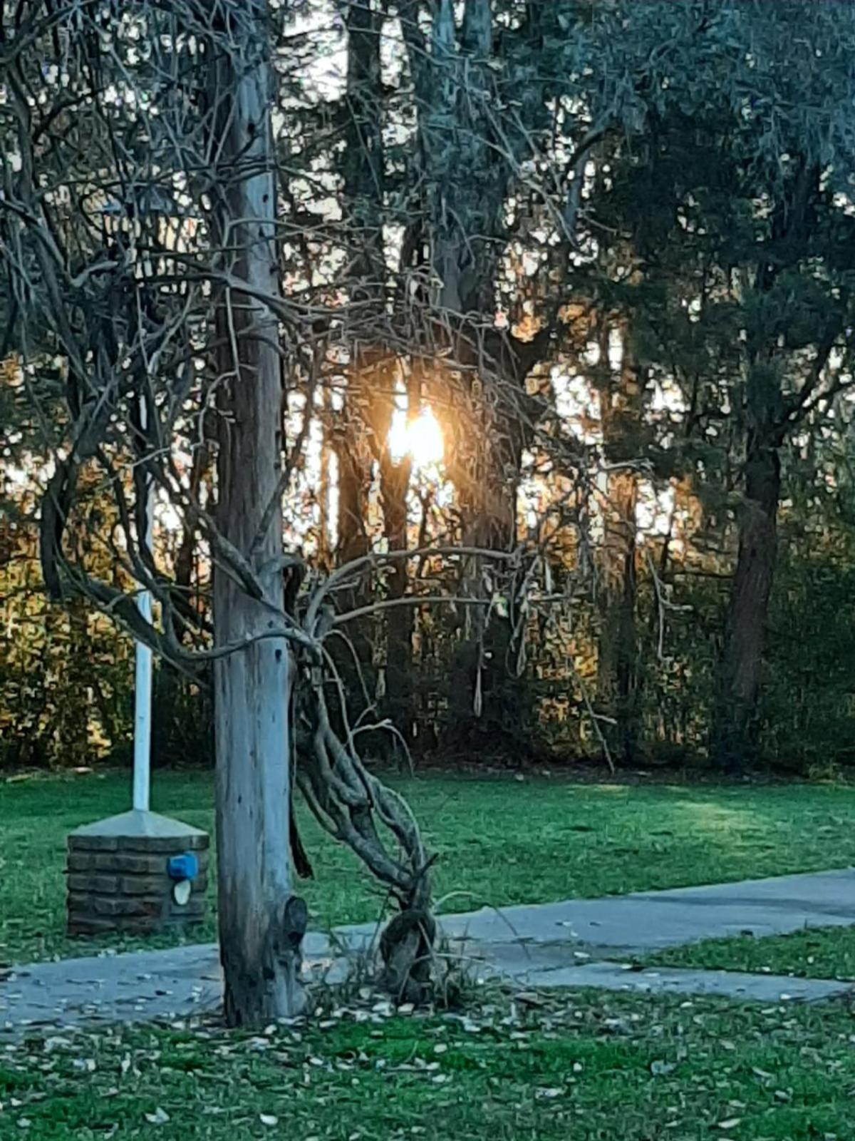 Quinta Pinar de Robles