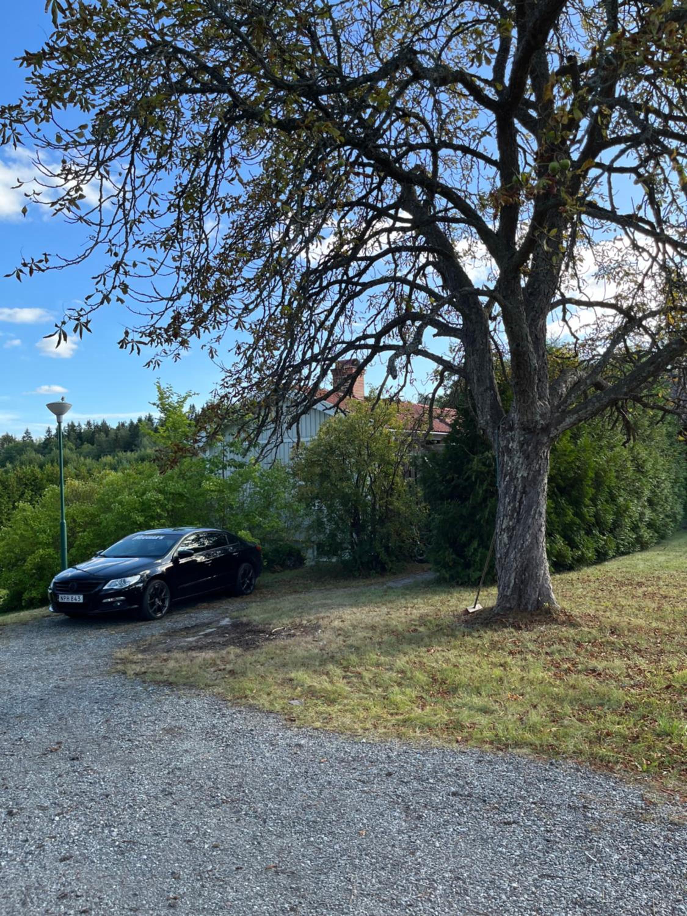 parking