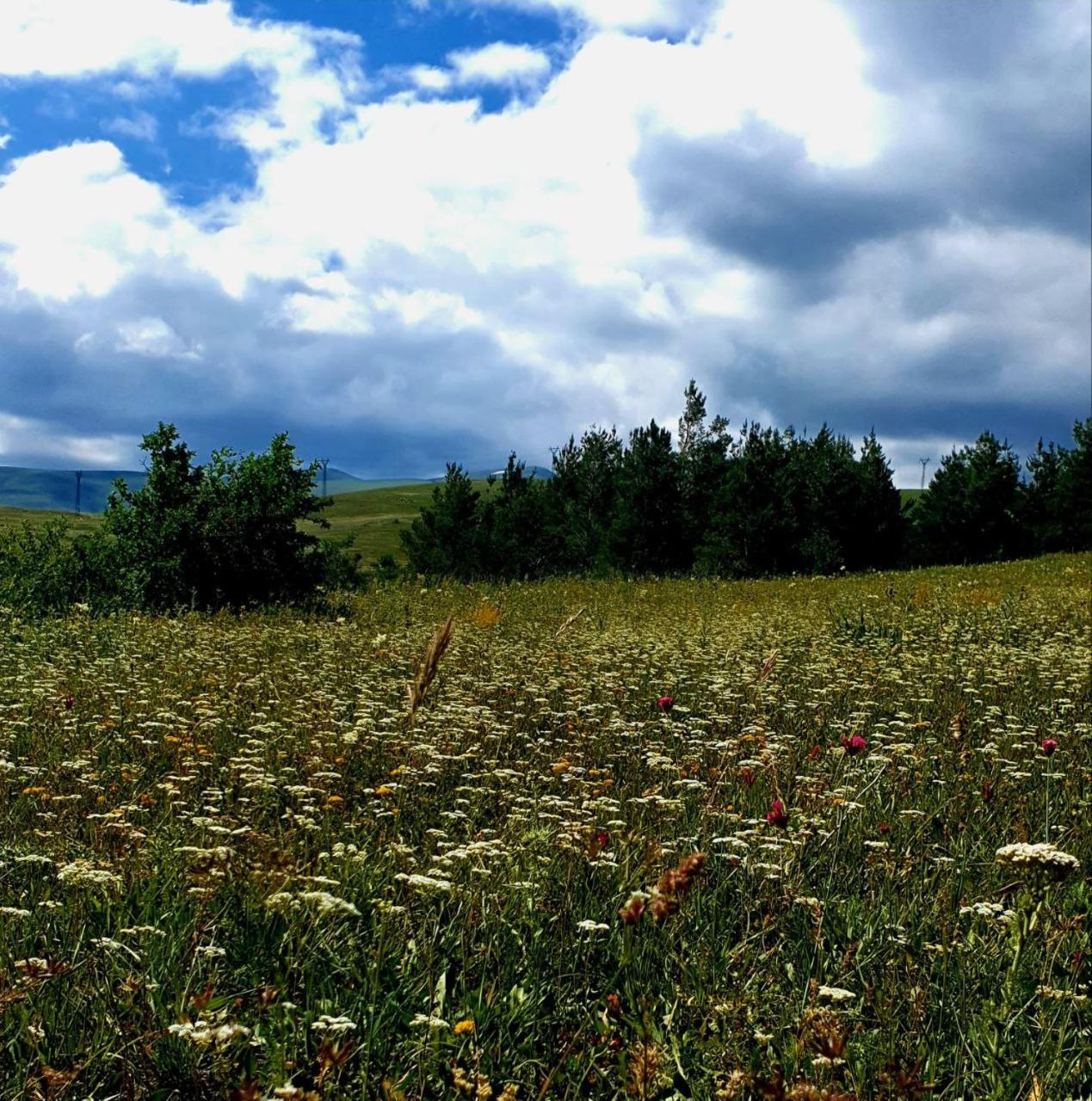 Jermuk