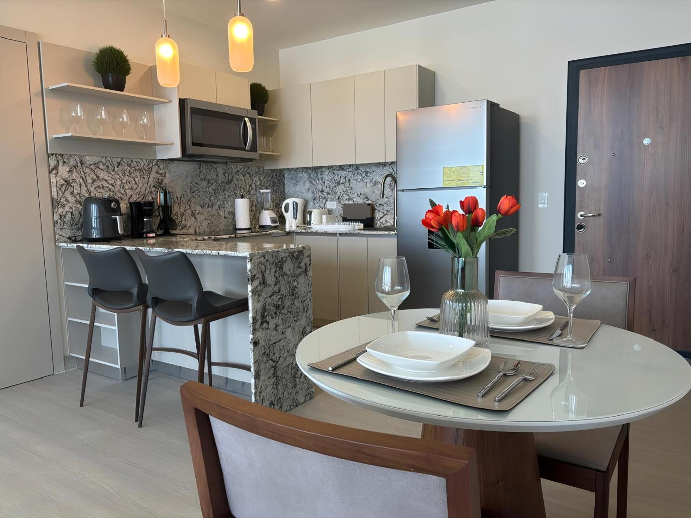 Deluxe Guest Condo Suite 1BR view 5