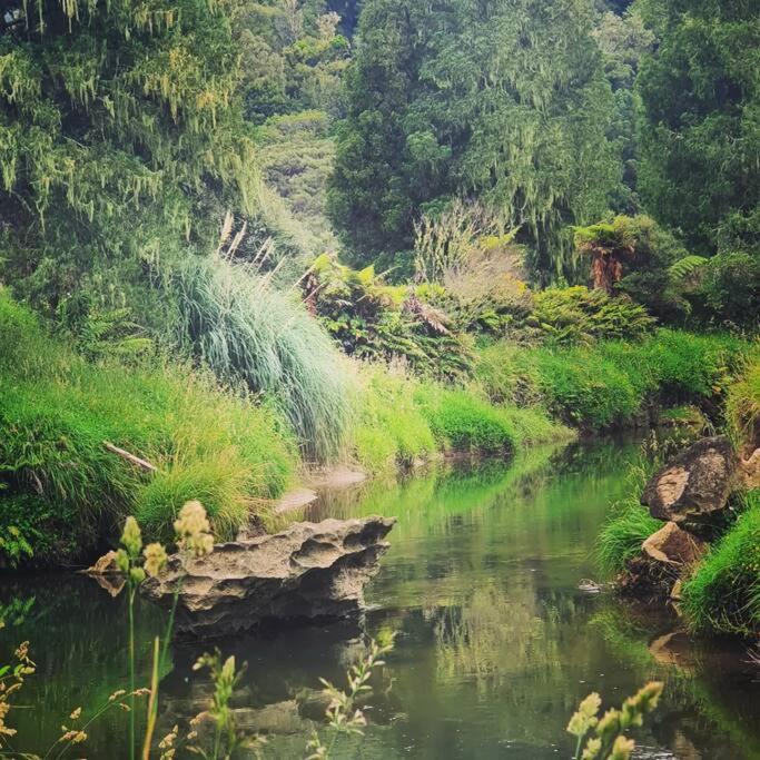 The Rimu Hut - Off-grid Luxury riverside cabin view 4