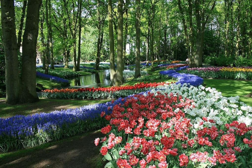 Hortensia Huisje