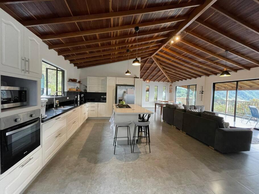 Modern mountain house