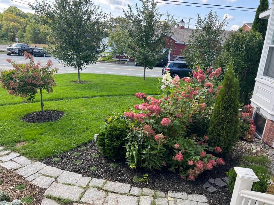 Discover Downeast Maine-Classic Comfortable Apt 2 view 4