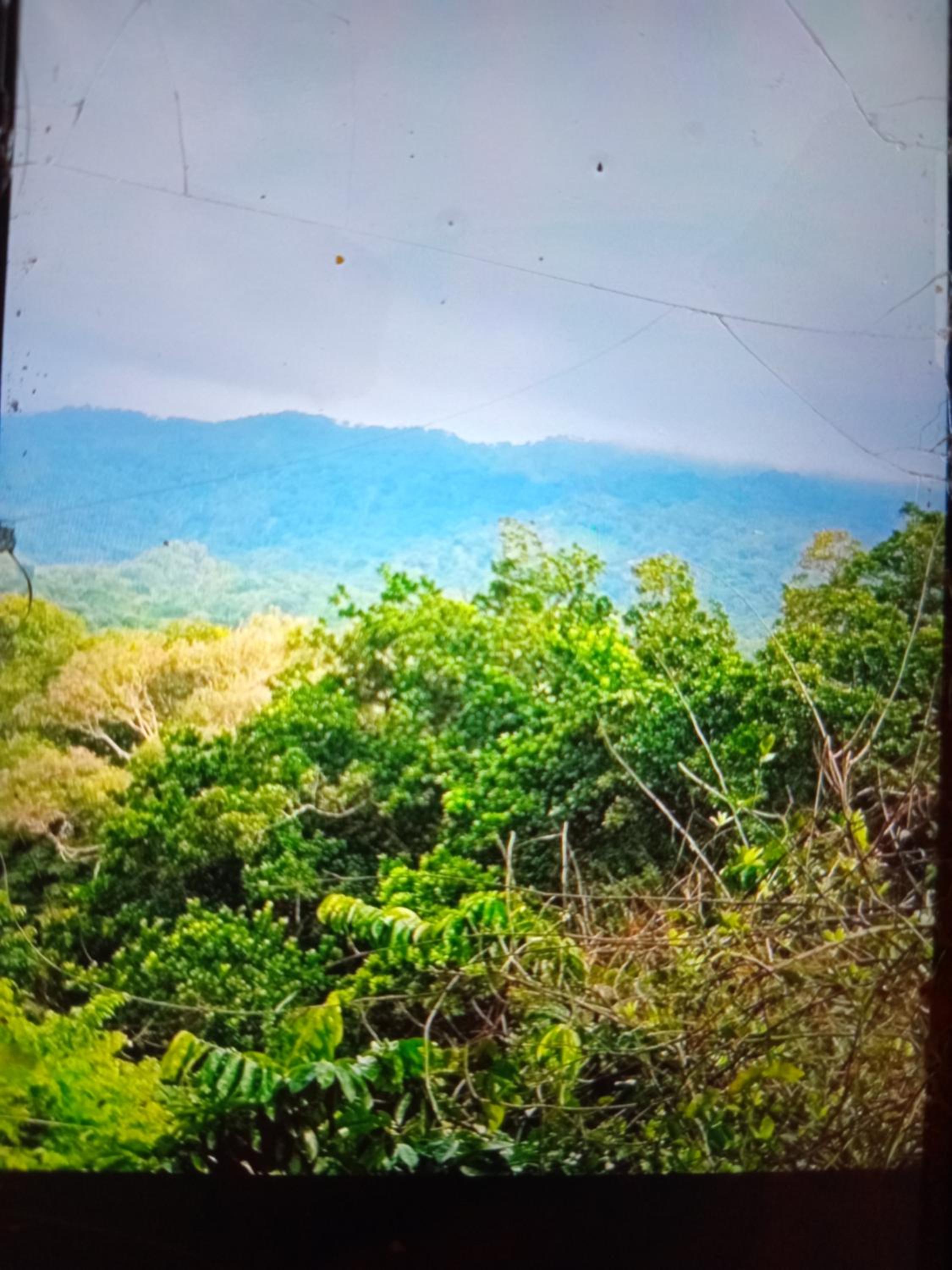 The Ireland Place Tayrona