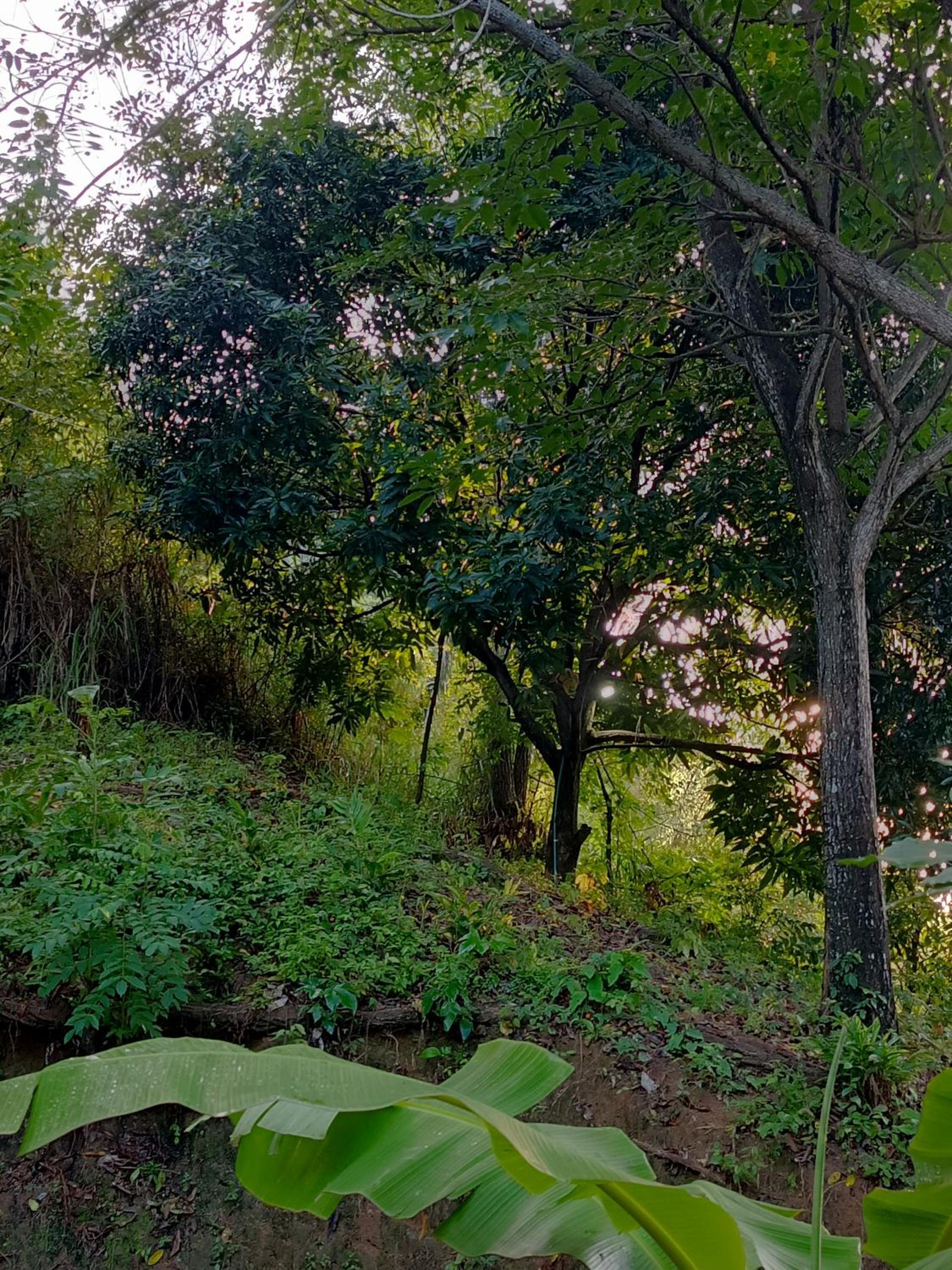 The Ireland Place Tayrona