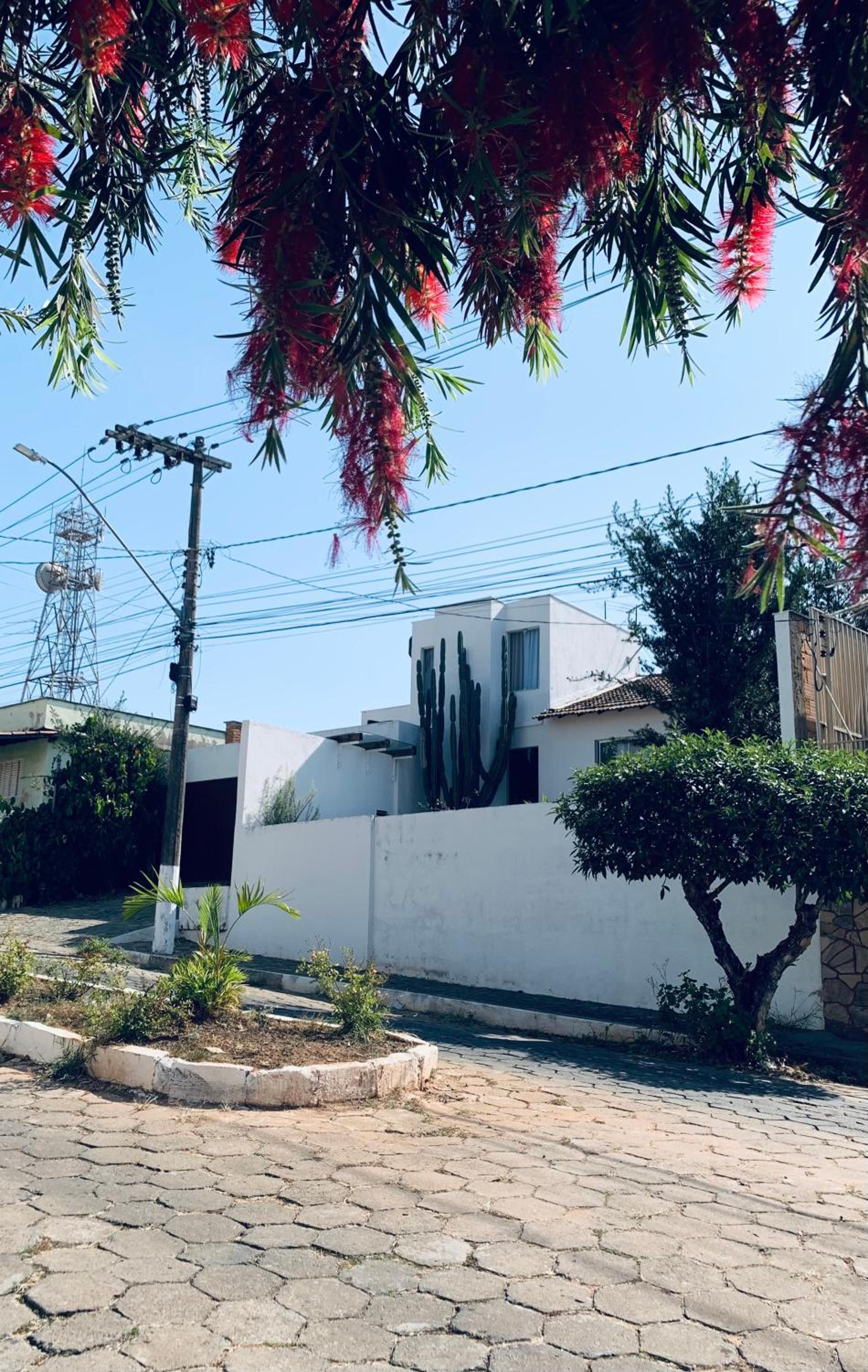 Preferido em Oliveira