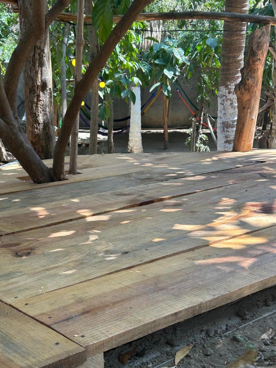 Photo 19
