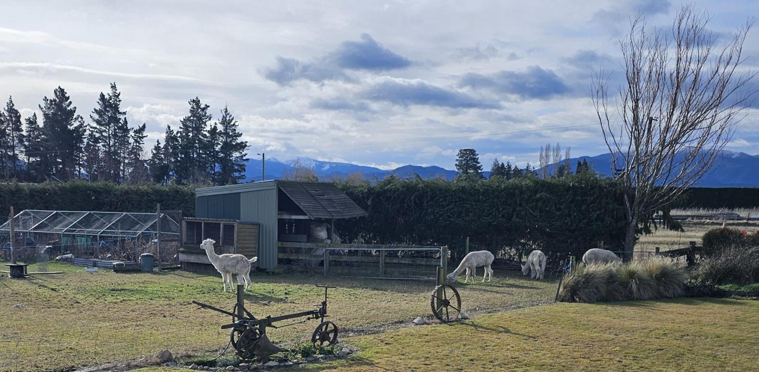Bahara Accommodation view 4
