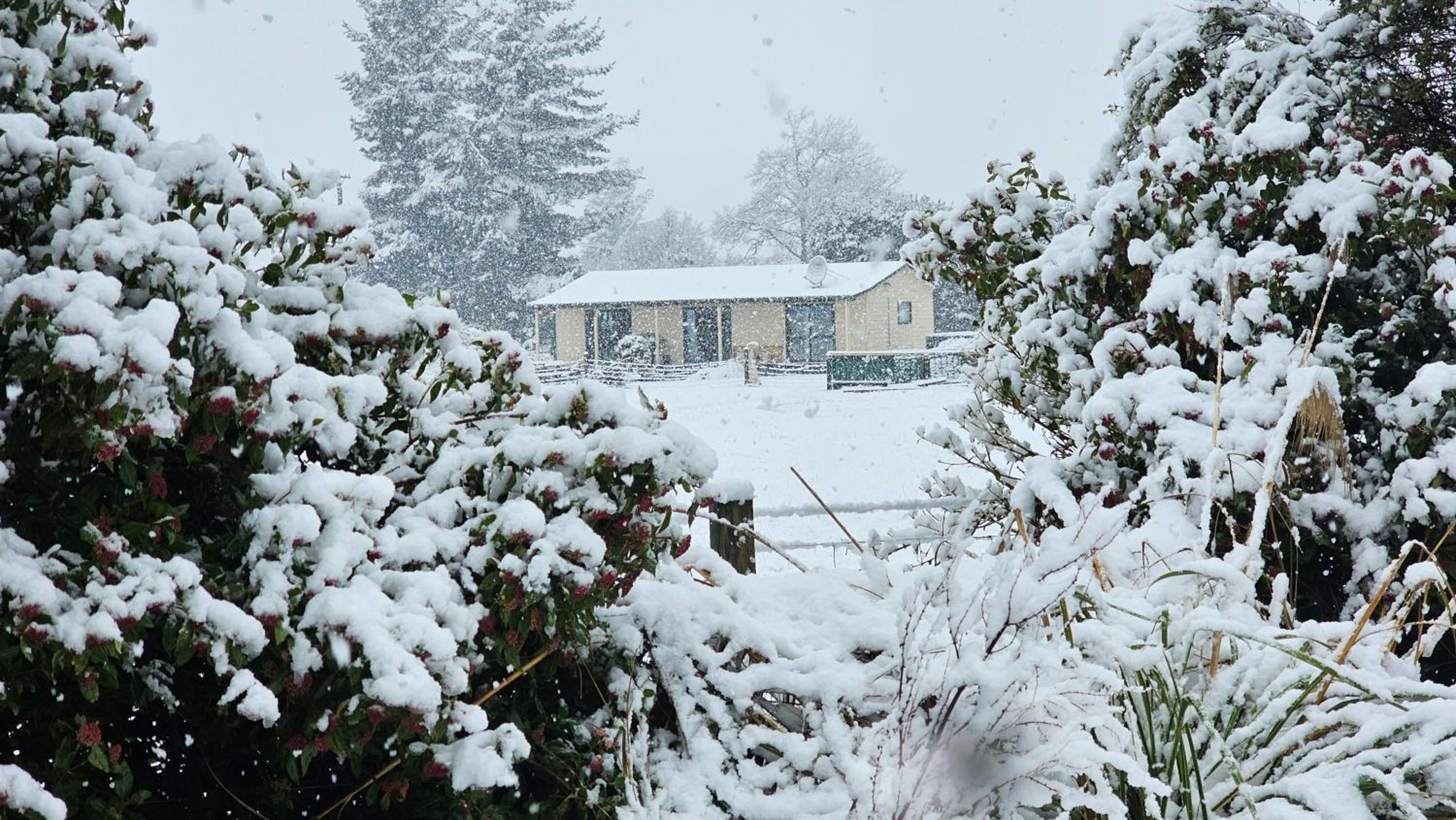 Bahara Accommodation view 5