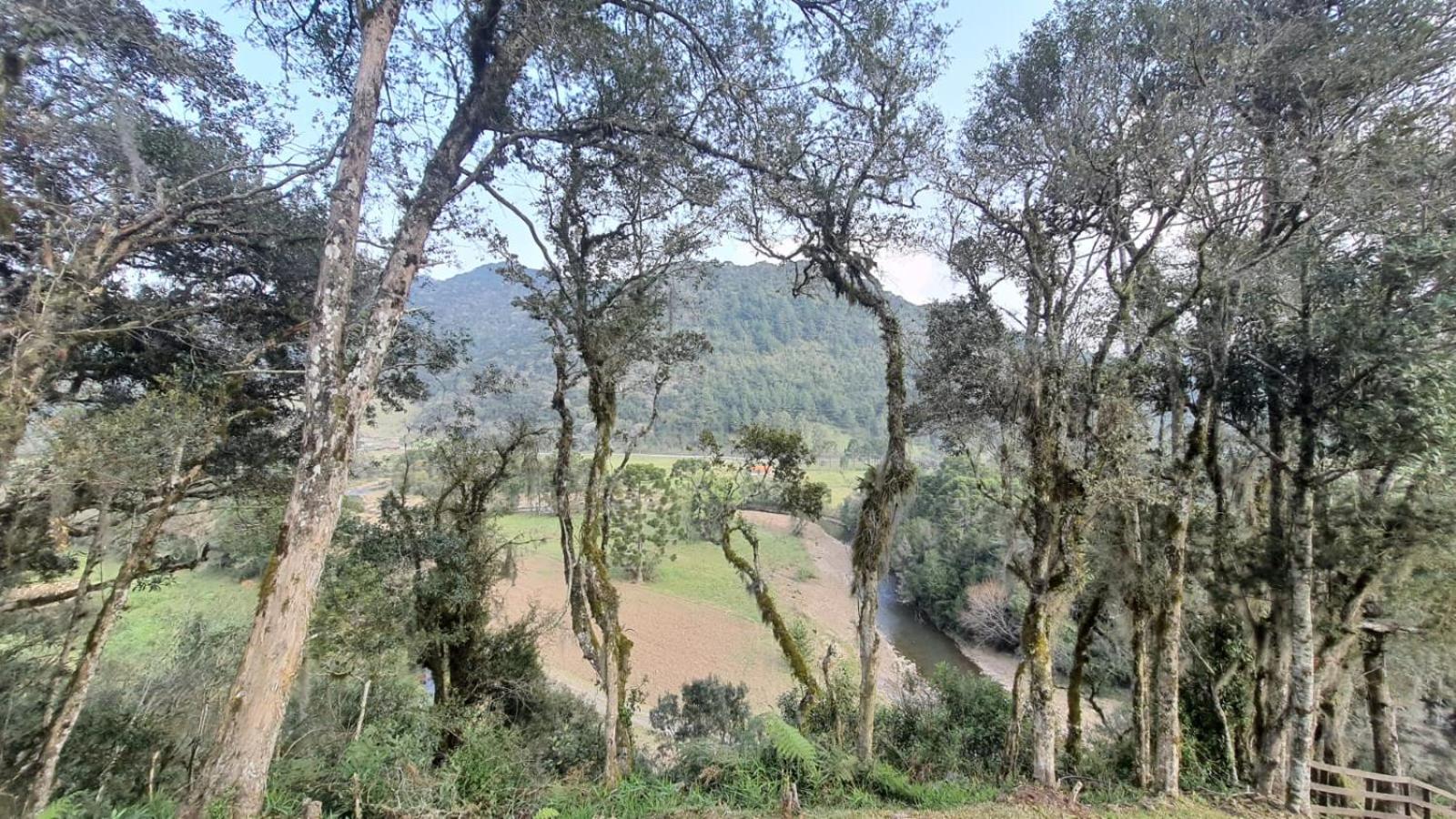 Quinta do Vale - Cabana com Hidromassagem e Lareira