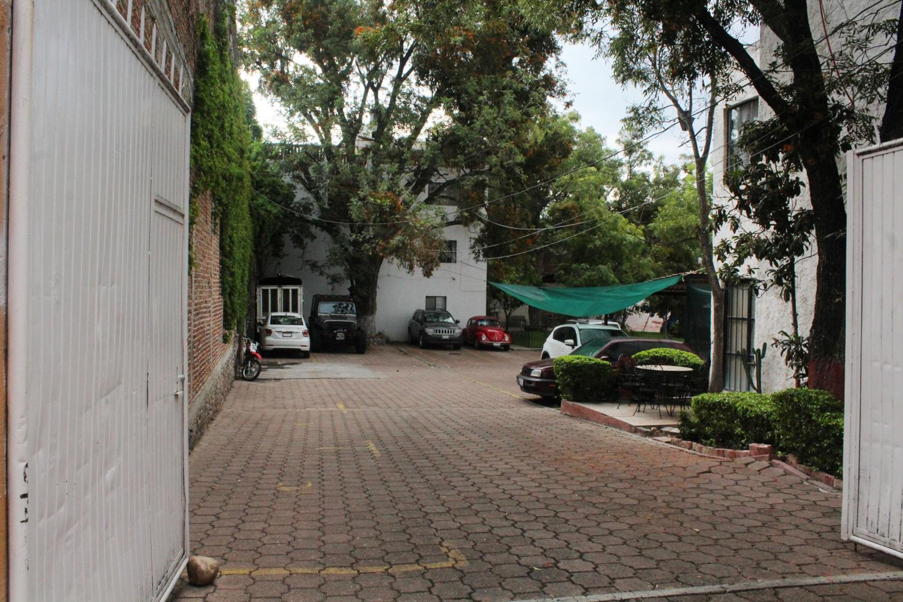 Photo 8