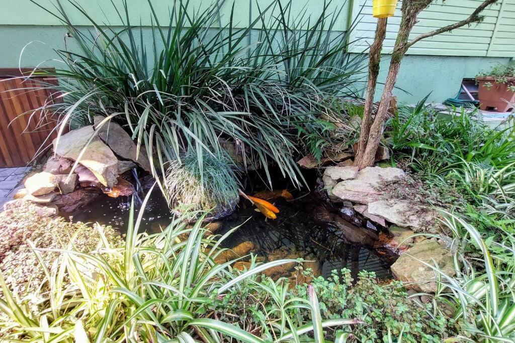 Plátanos, casa completa Nova Petrópolis RS