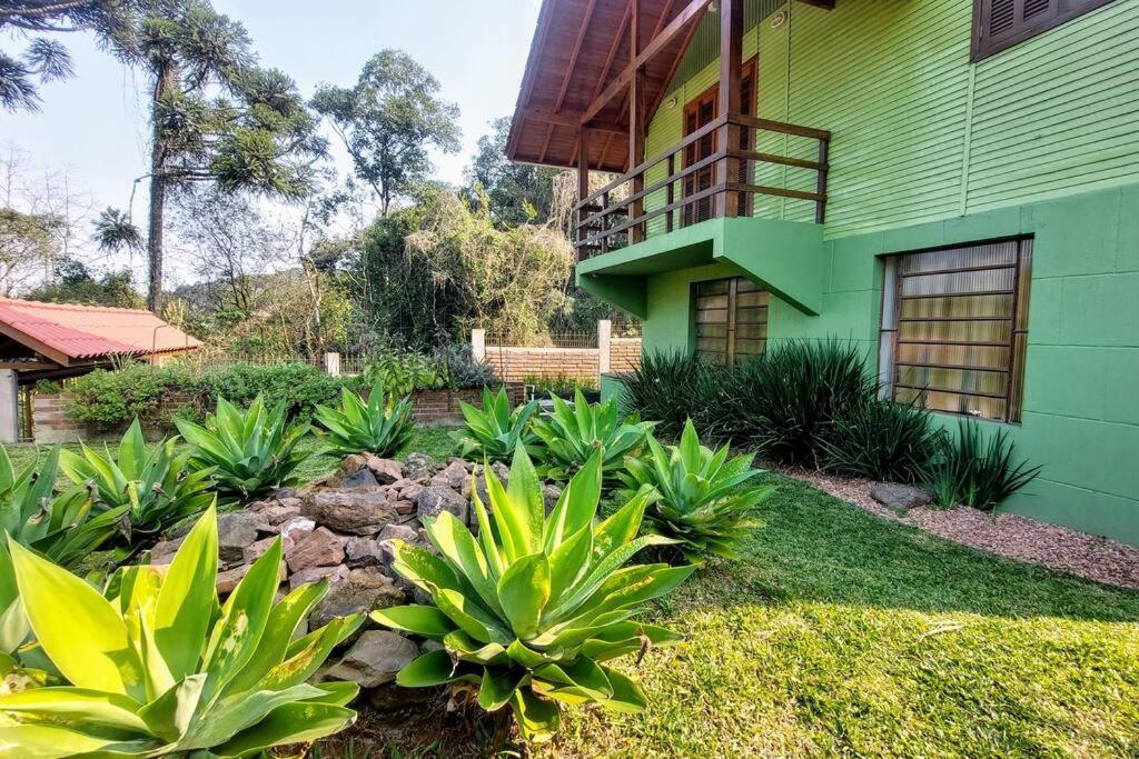 Plátanos, casa completa Nova Petrópolis RS