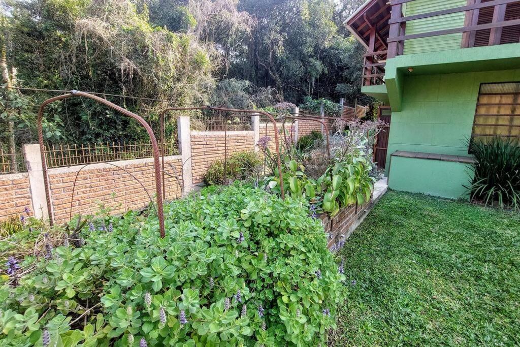 Plátanos, casa completa Nova Petrópolis RS