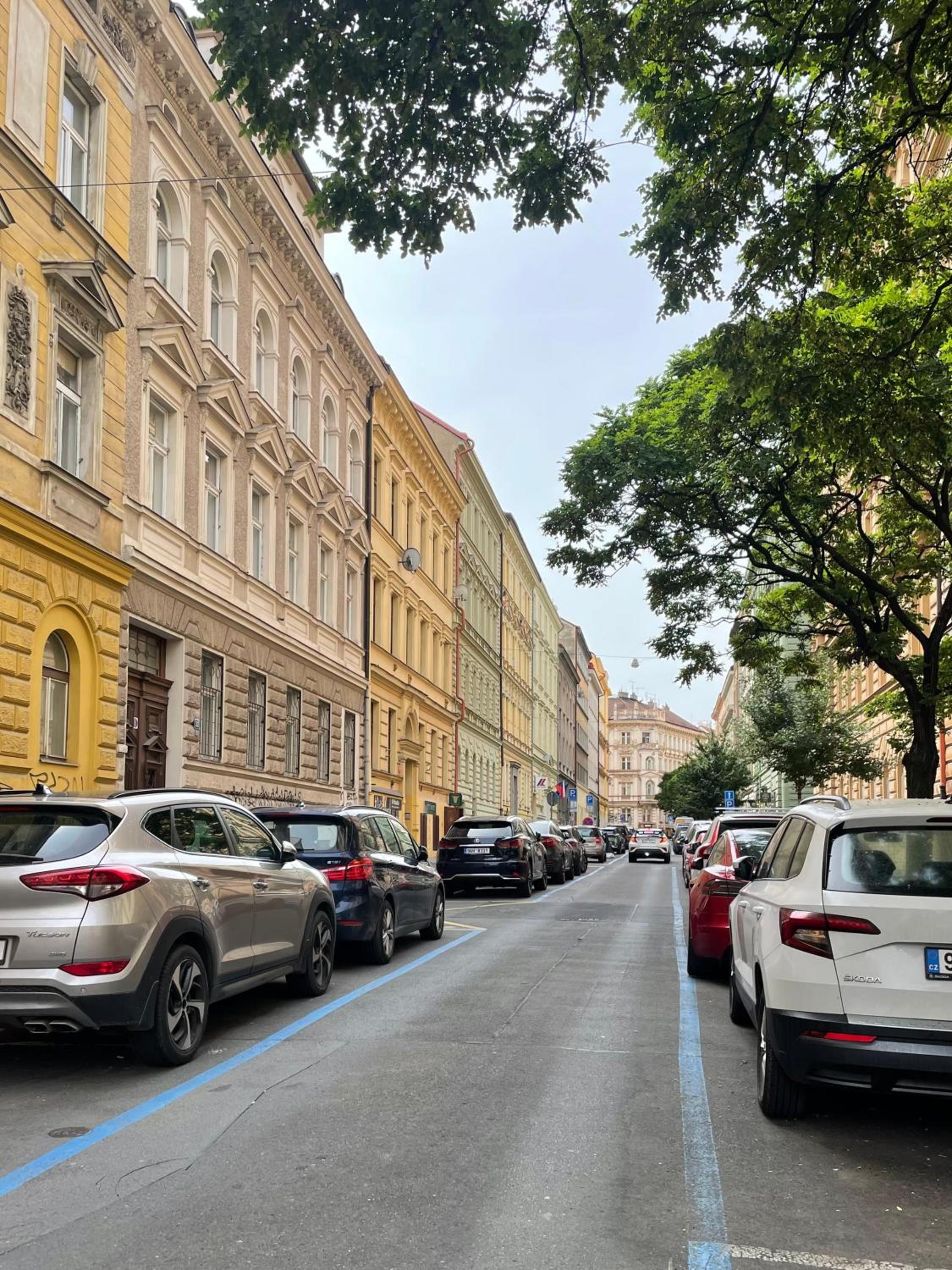 Wenceslas Palace Stay