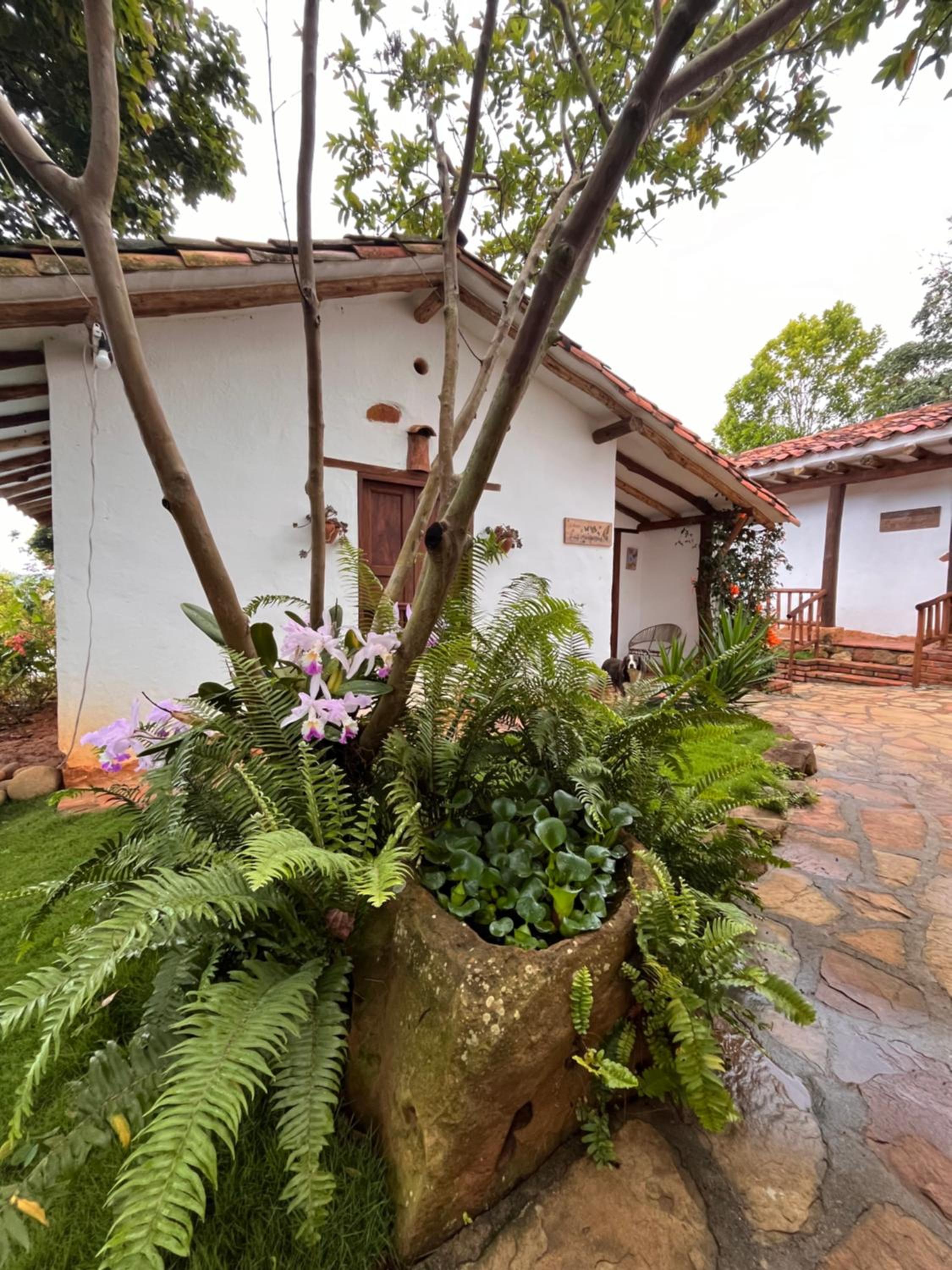 Ecohotel en BARICHARA
