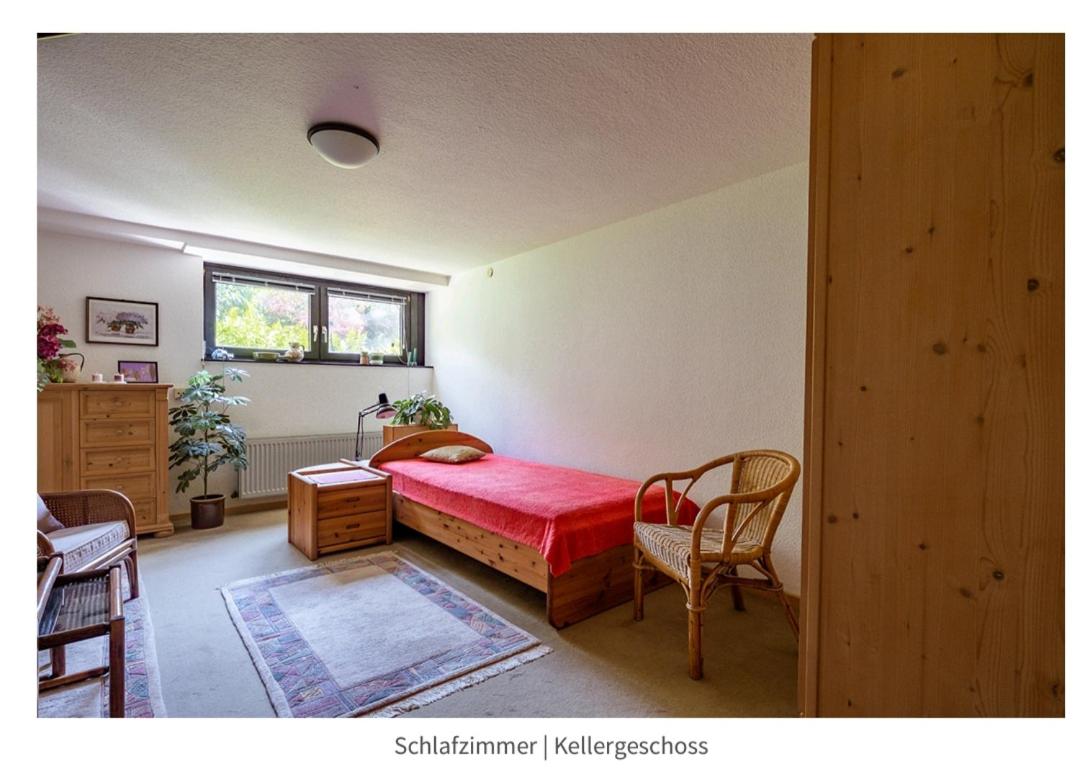 Cozy basement guest room in quietness