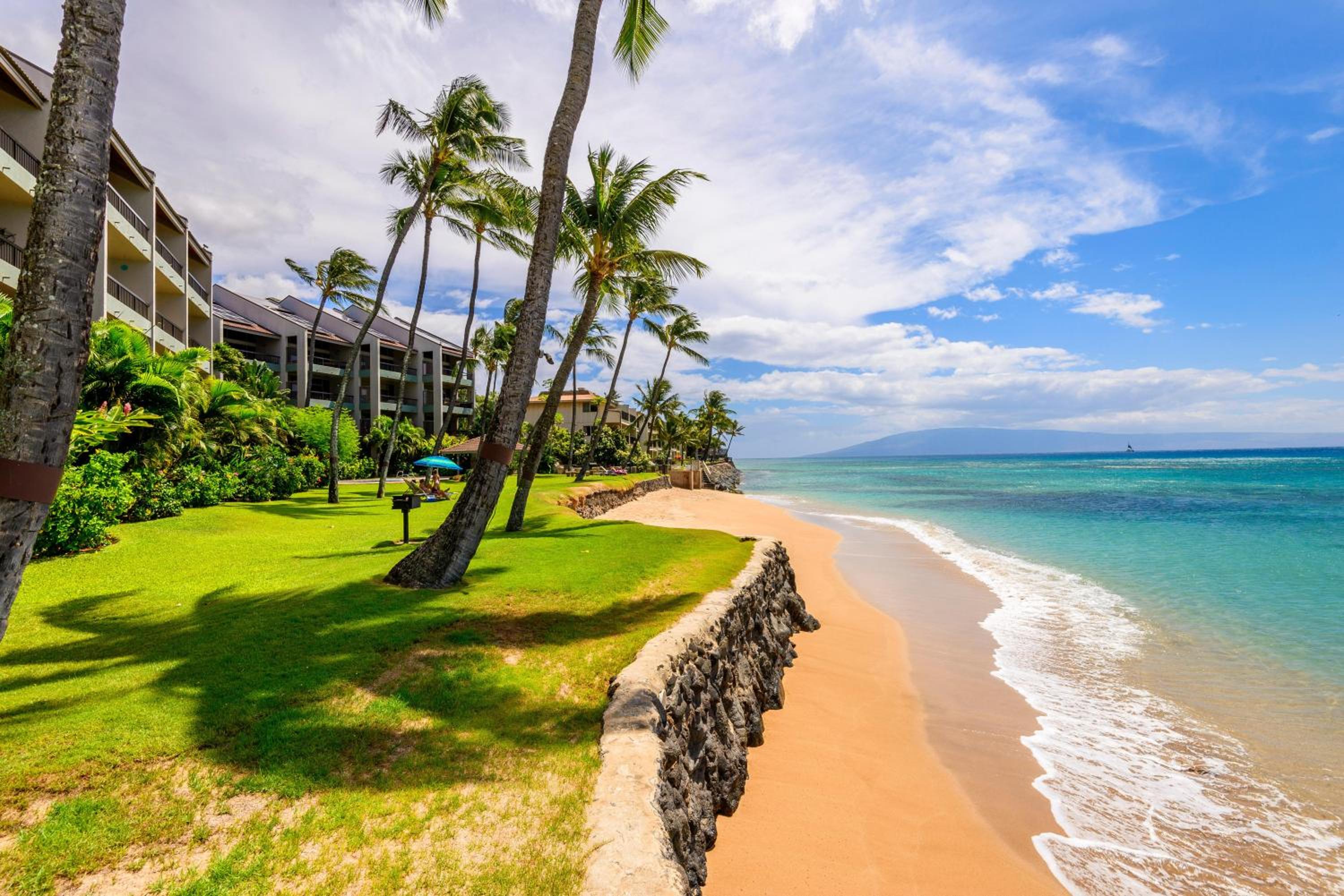 Hale Mahina A207 · HM A207 Spacious OceanFront 1BD w Ocean View