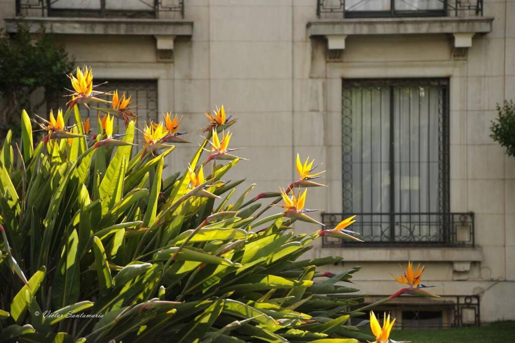 Jardín privado para familias y trabajo