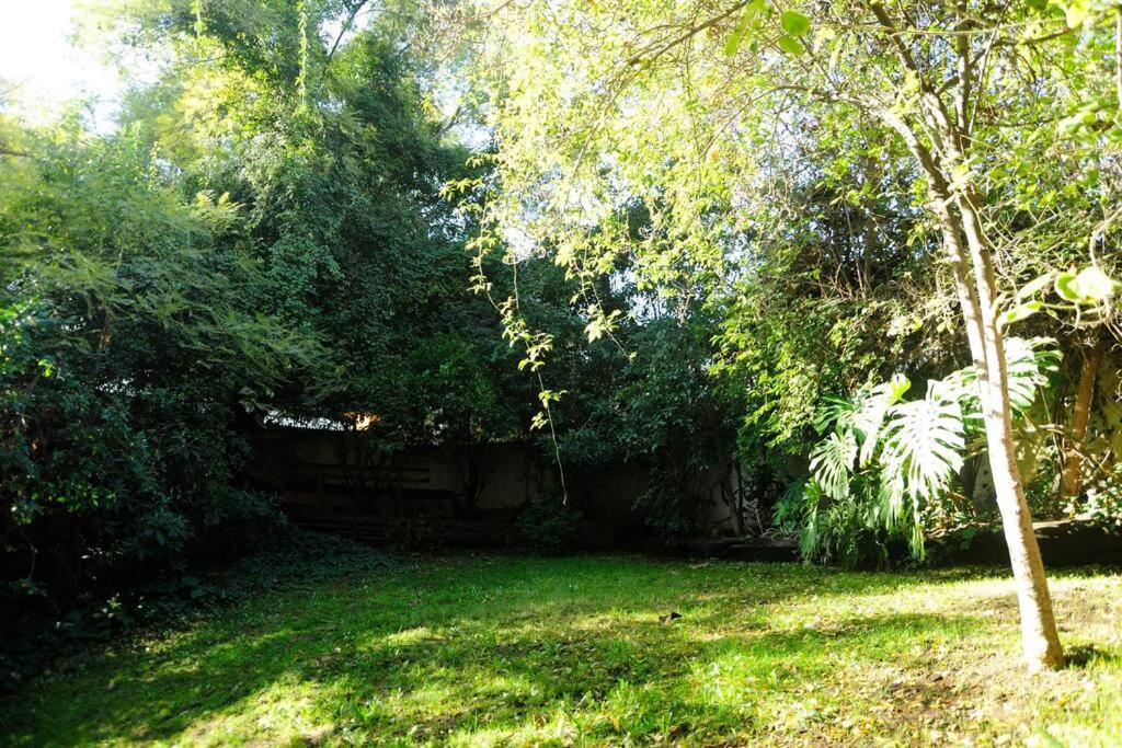 Jardín privado para familias y trabajo
