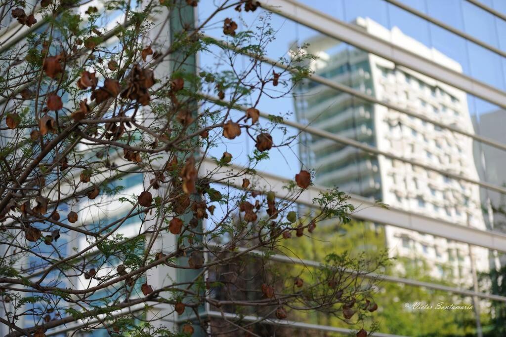 Jardín privado para familias y trabajo