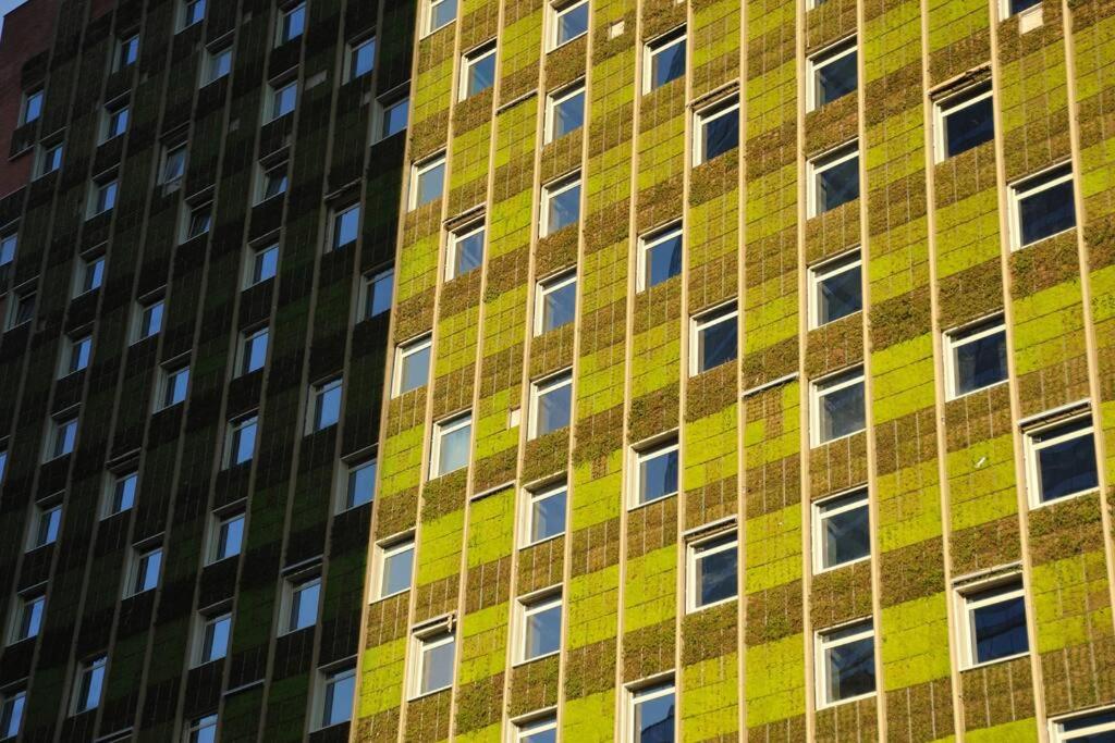 Jardín privado para familias y trabajo