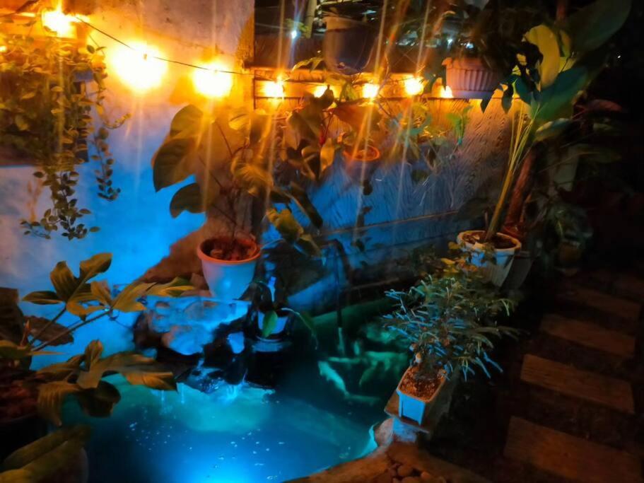 House of Bela view 5