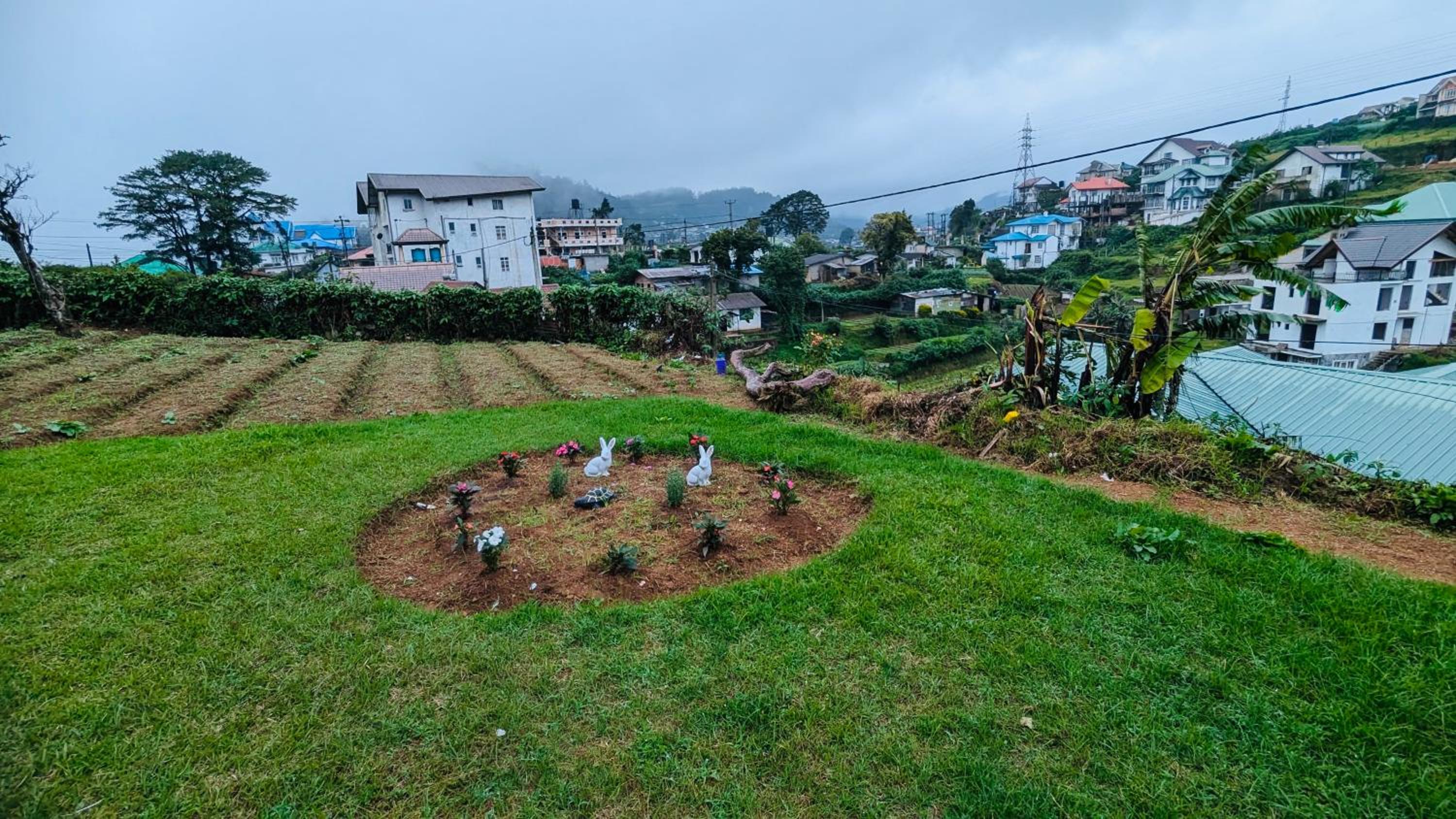 Hillside cottage Nuwara Eliya