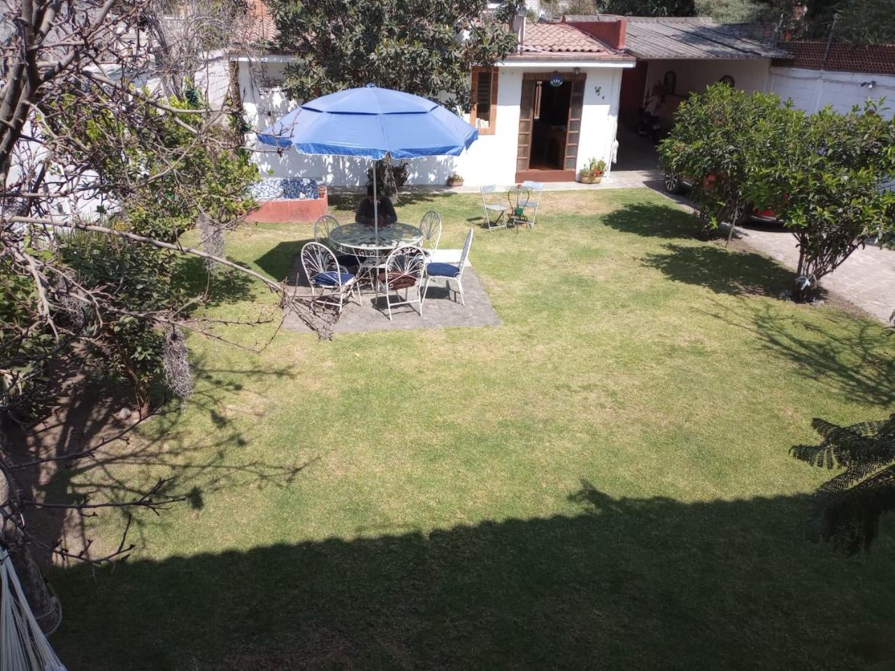 Photo 7