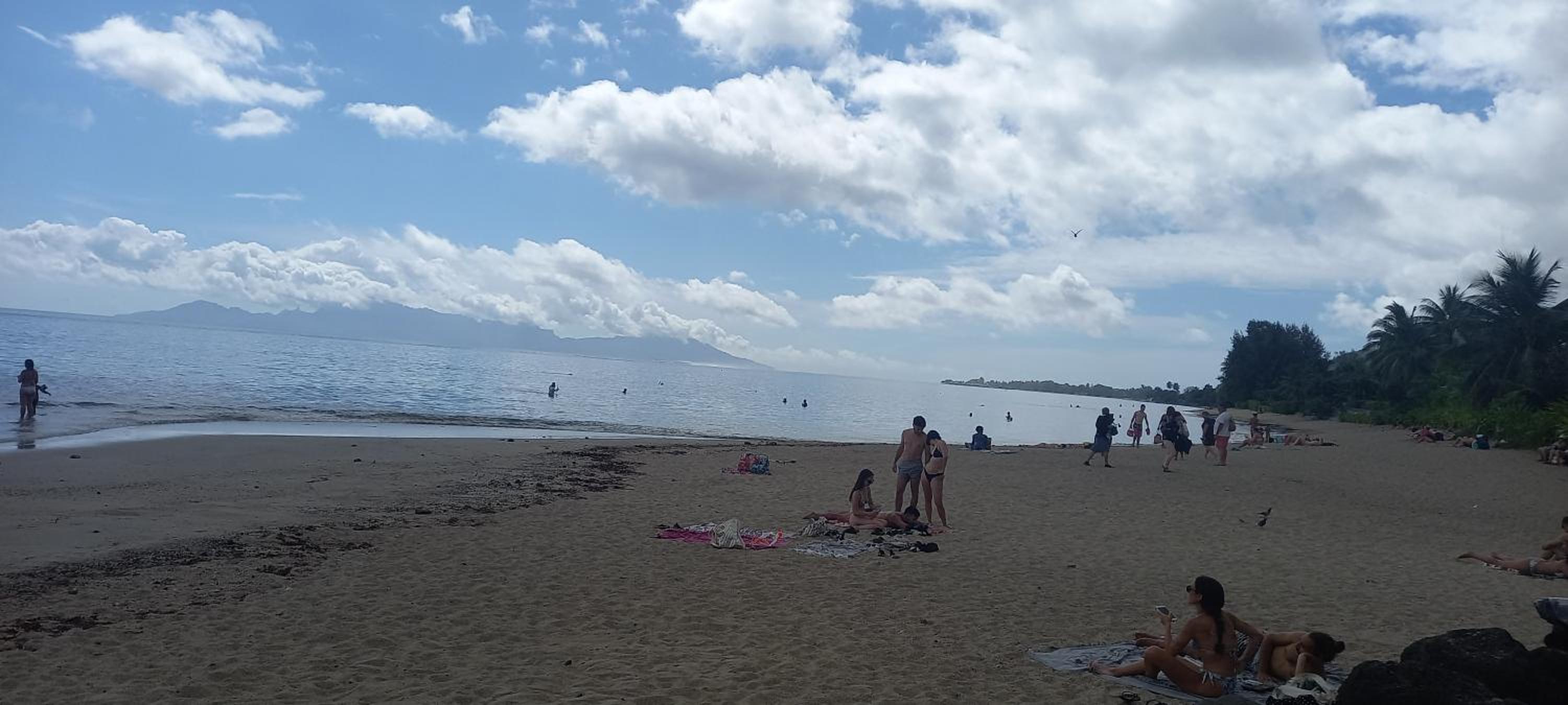 human