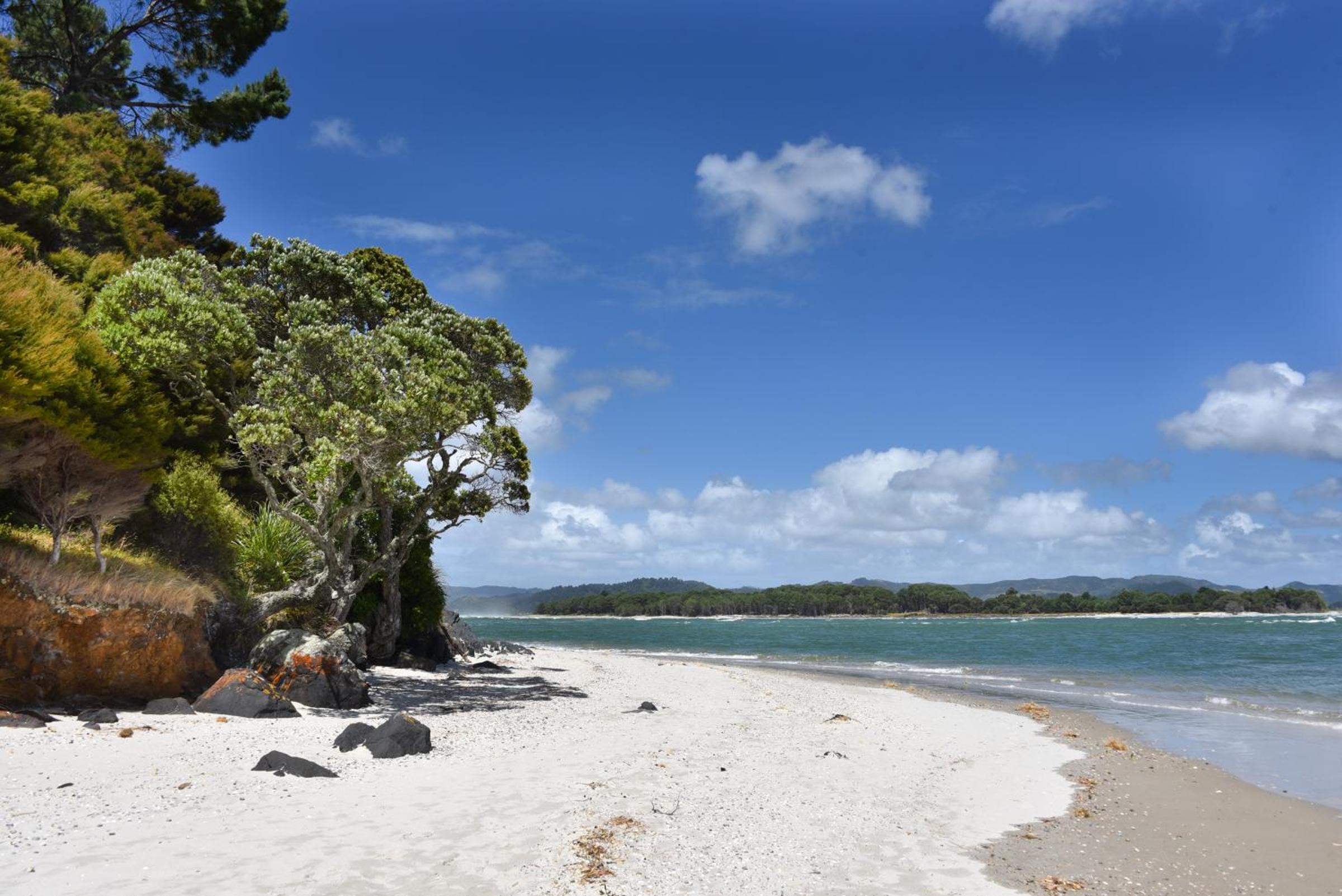 Whangapoua waves