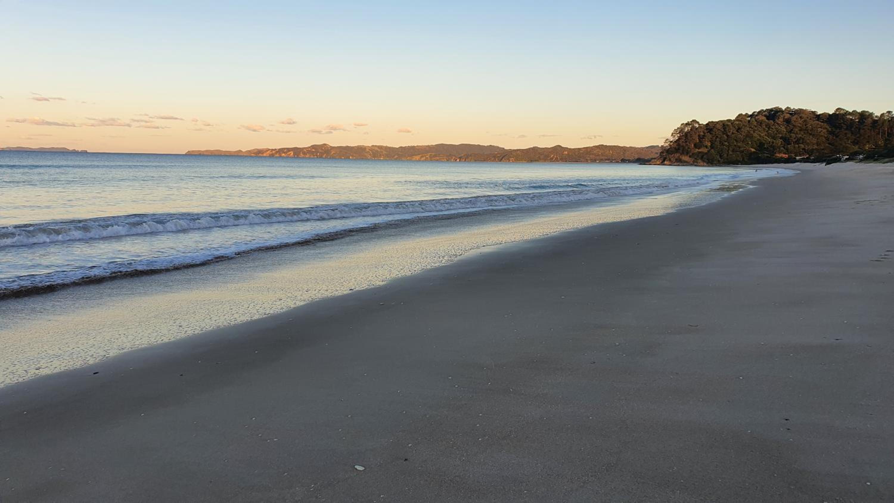 Whangapoua waves