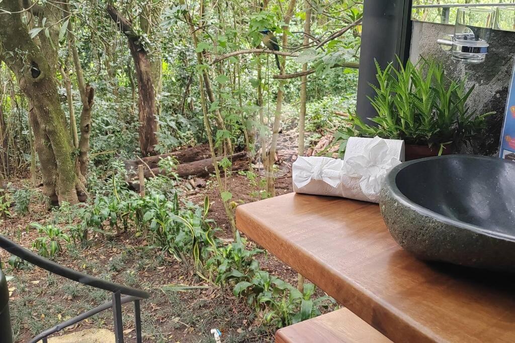 My Amazing Monteverde Black House