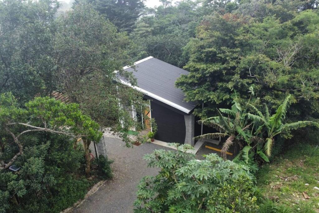 My Amazing Monteverde Black House