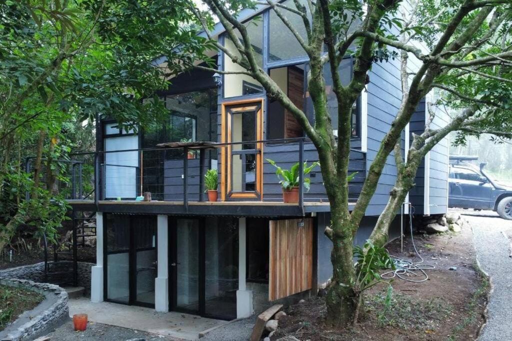 My Amazing Monteverde Black House