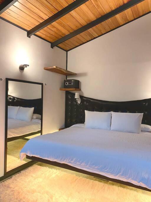 My Amazing Monteverde Black House