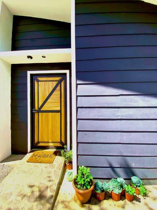 My Amazing Monteverde Black House