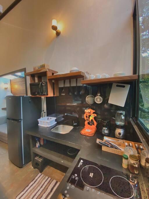 My Amazing Monteverde Black House