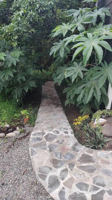 My Amazing Monteverde Black House