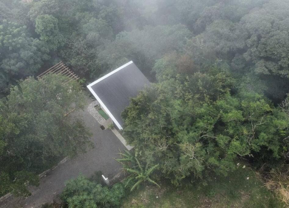 My Amazing Monteverde Black House