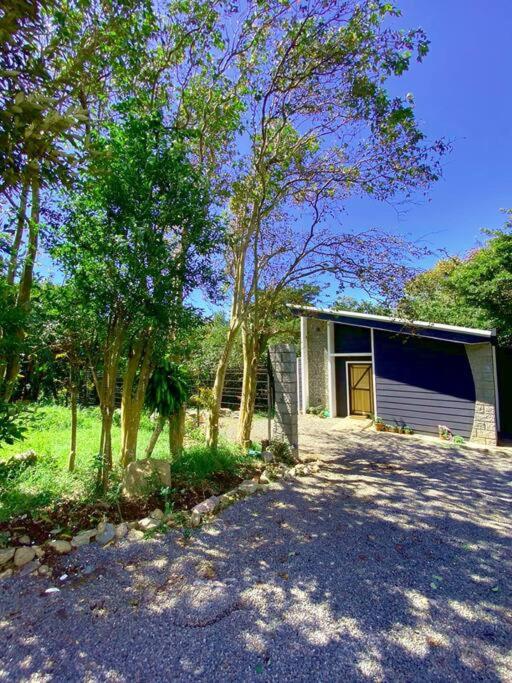 My Amazing Monteverde Black House