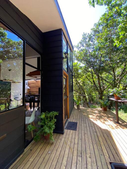 My Amazing Monteverde Black House