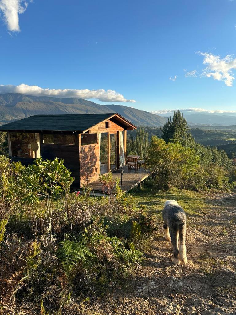 Farallones Eco Glamping