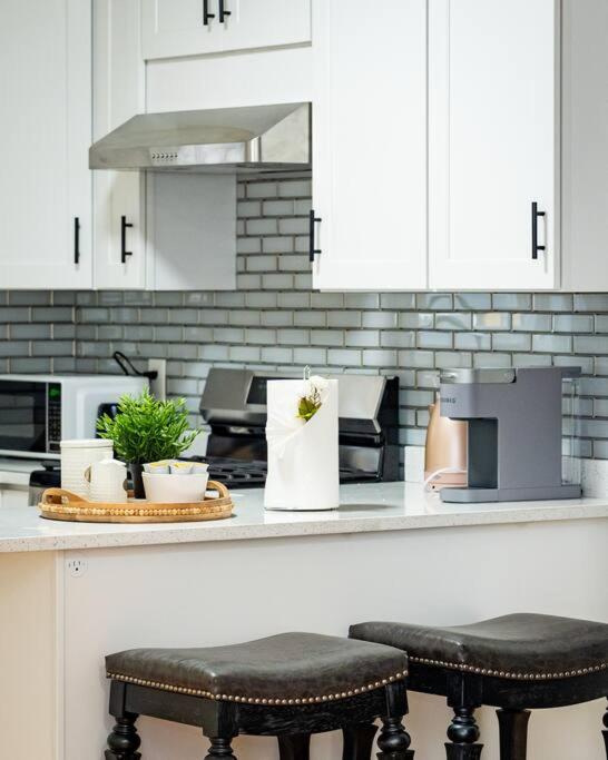 14a-Elegant, newly renovated apartment in Boston view 5